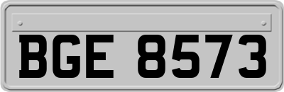 BGE8573