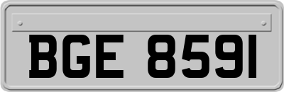 BGE8591