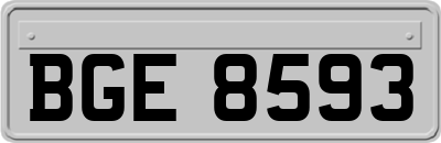 BGE8593