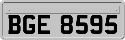 BGE8595