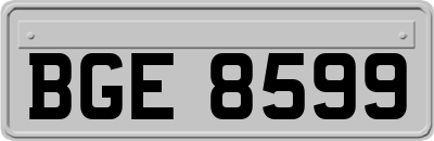 BGE8599