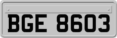 BGE8603