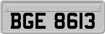 BGE8613