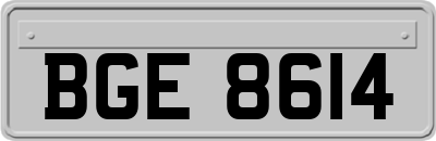 BGE8614