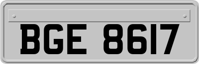 BGE8617