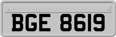BGE8619