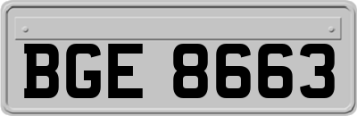 BGE8663