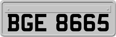 BGE8665