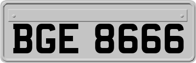 BGE8666