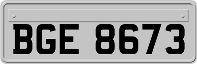 BGE8673