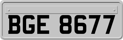 BGE8677