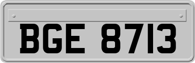 BGE8713