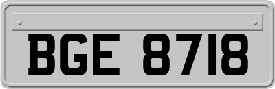 BGE8718