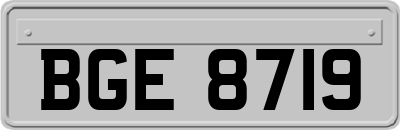 BGE8719