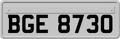BGE8730