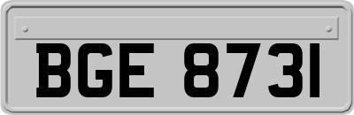 BGE8731