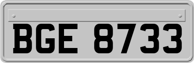BGE8733