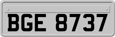BGE8737