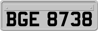 BGE8738