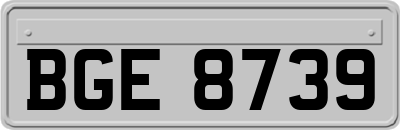 BGE8739