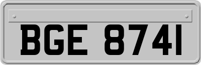 BGE8741