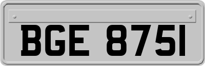 BGE8751