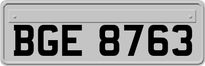 BGE8763