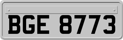 BGE8773