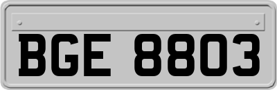 BGE8803