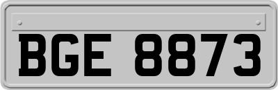 BGE8873