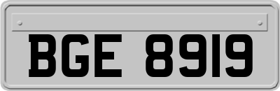 BGE8919
