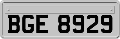 BGE8929