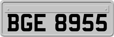 BGE8955