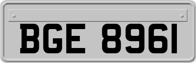 BGE8961