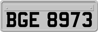 BGE8973