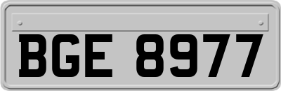 BGE8977