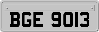 BGE9013