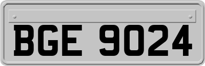 BGE9024