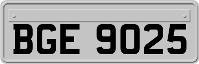BGE9025