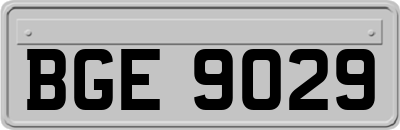 BGE9029
