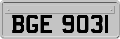 BGE9031