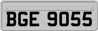BGE9055