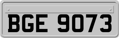 BGE9073
