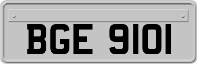 BGE9101