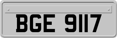 BGE9117