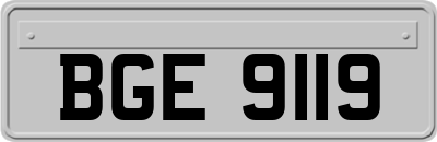 BGE9119