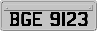 BGE9123