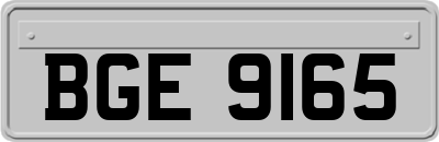 BGE9165