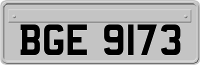 BGE9173