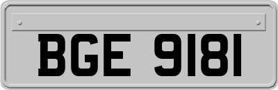 BGE9181